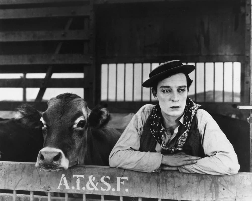 Buster Keaton sitting next to a cow