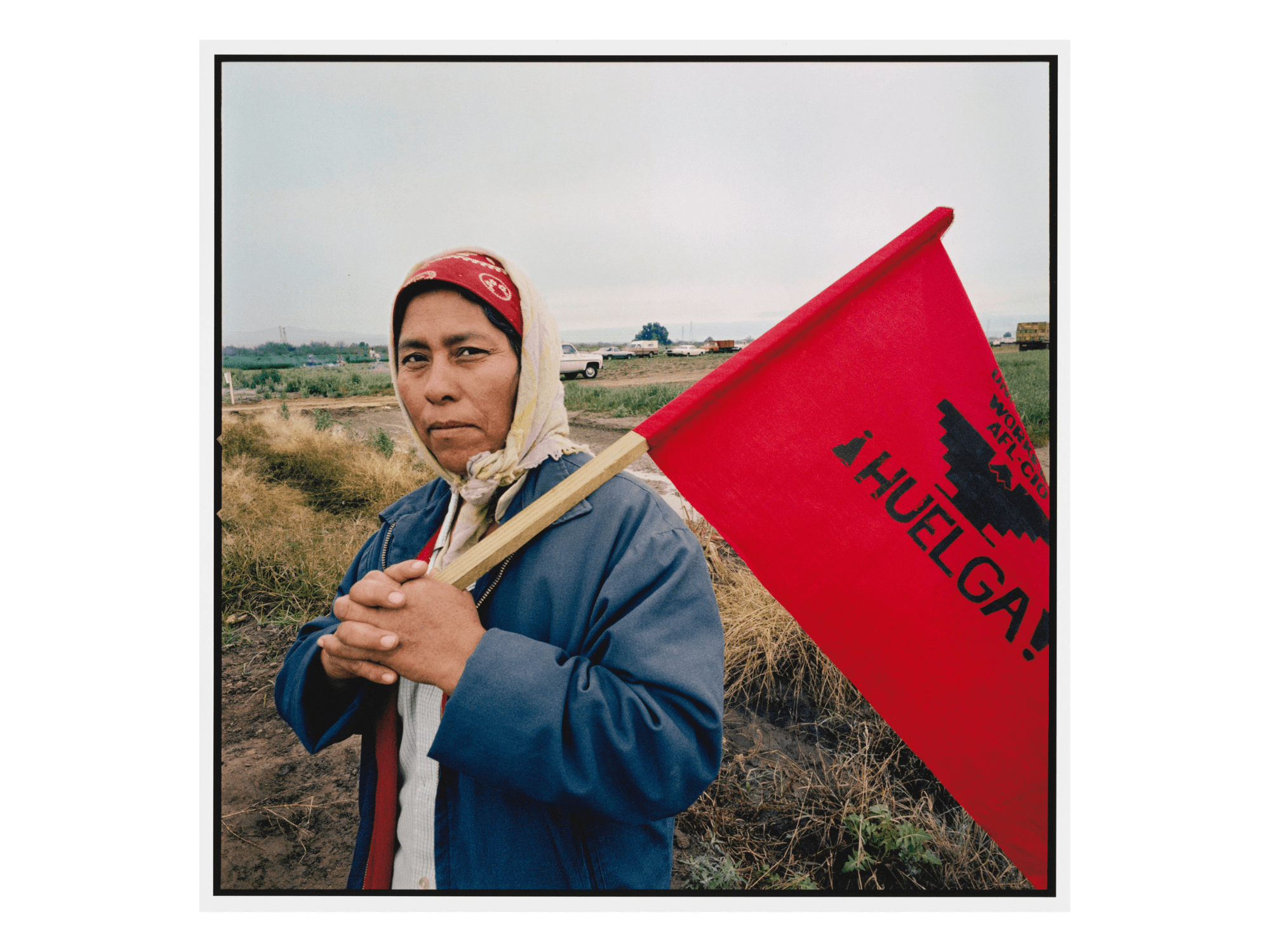 Person holding a flag