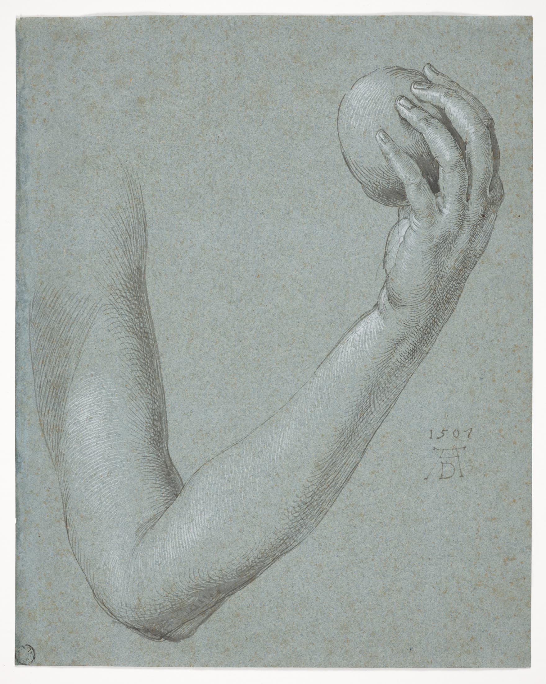 A vertically oriented drawing with gray tones of an arm, bent at the elbow, holds up a spherical object.