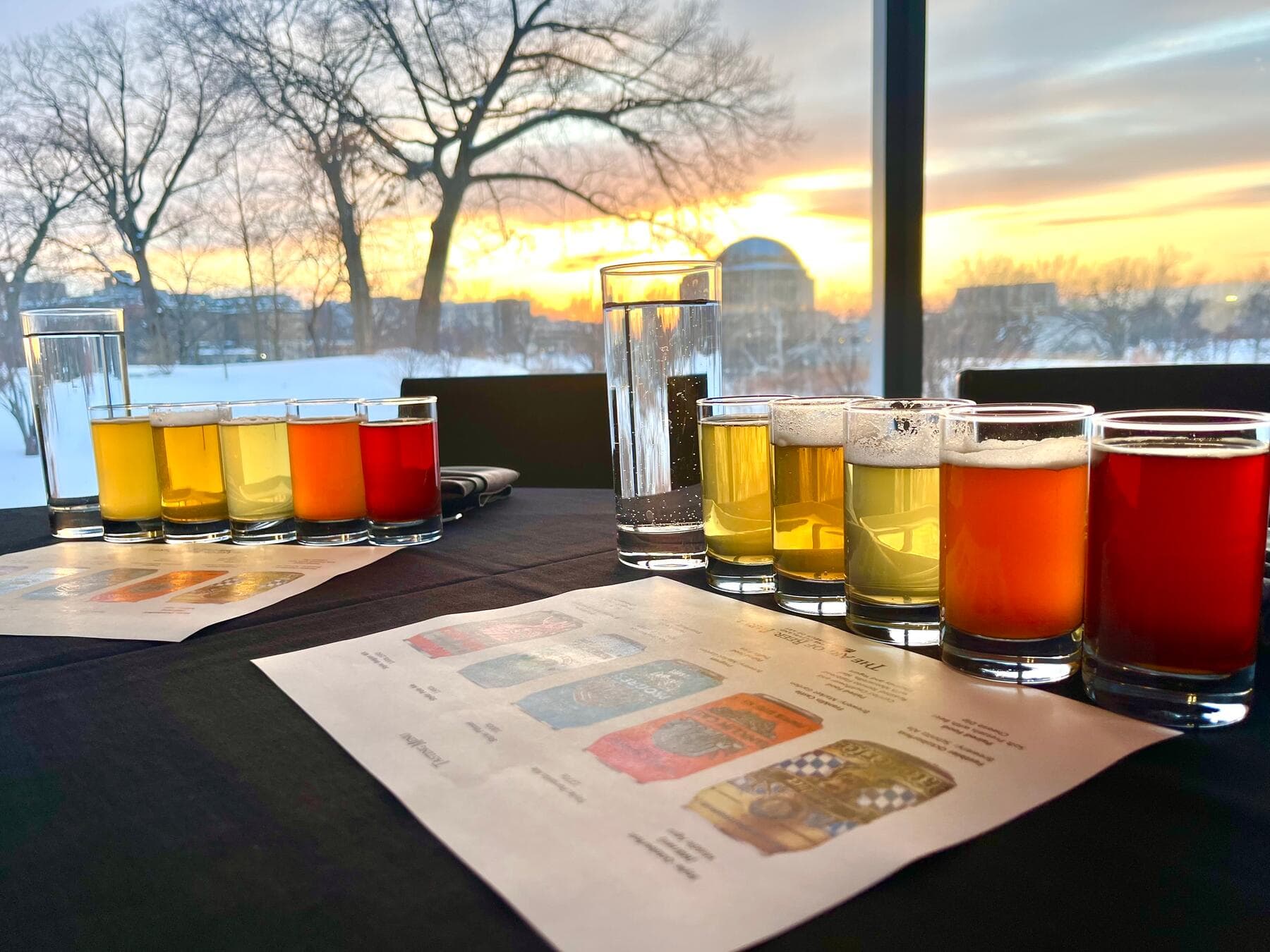 a group of glasses with liquid in them