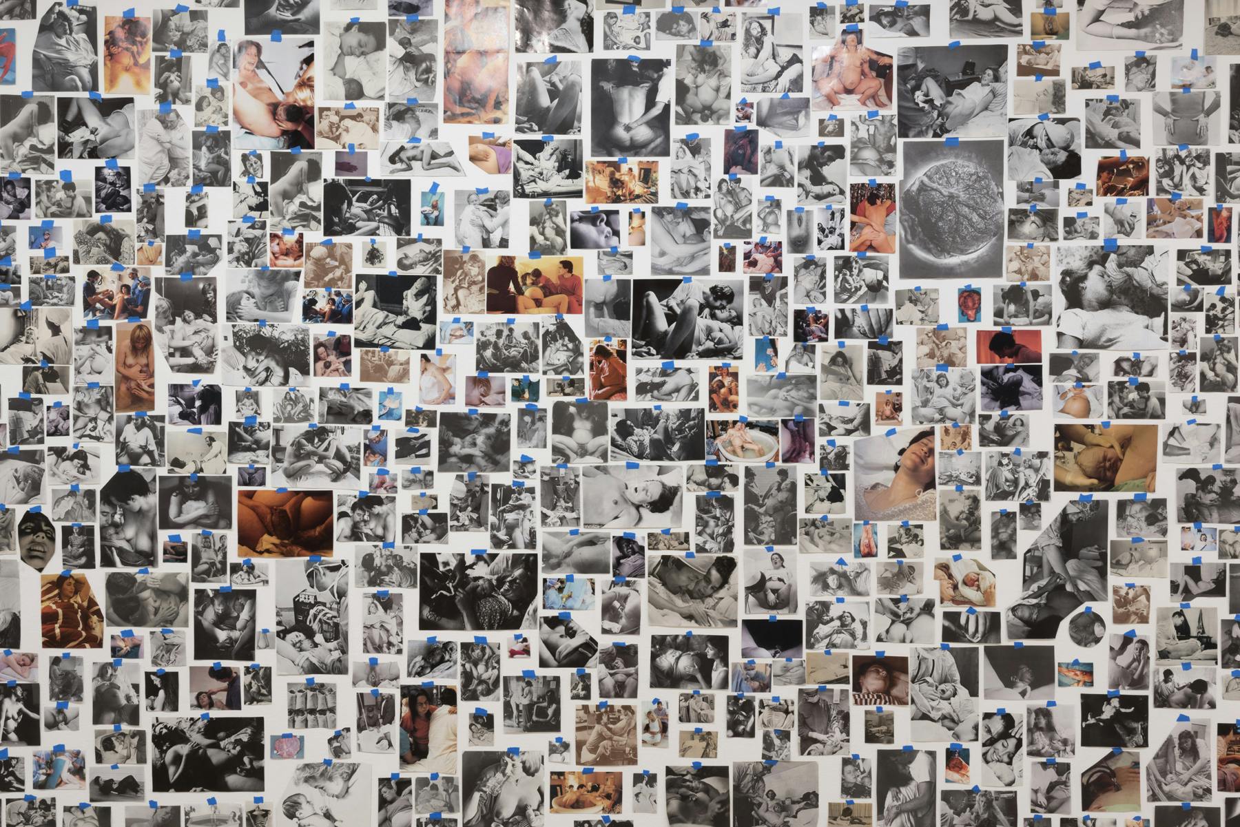 collage of over 100 photographs