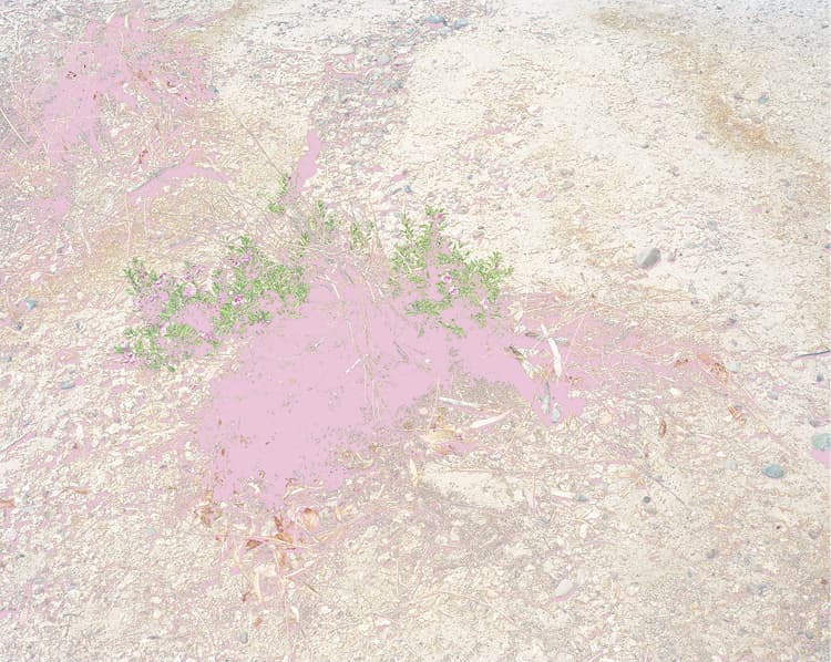 Shadow (Pink) 2012. Aaron Rothman (American, b. 1974). Inkjet print; 76.2 x 95.3 cm