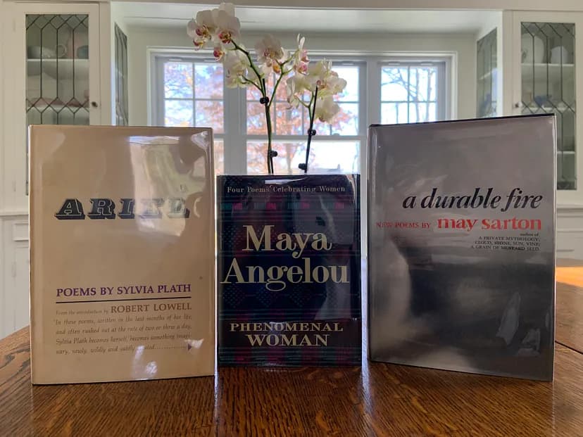 The covers of three books collected by Heather Lemonedes Brown.