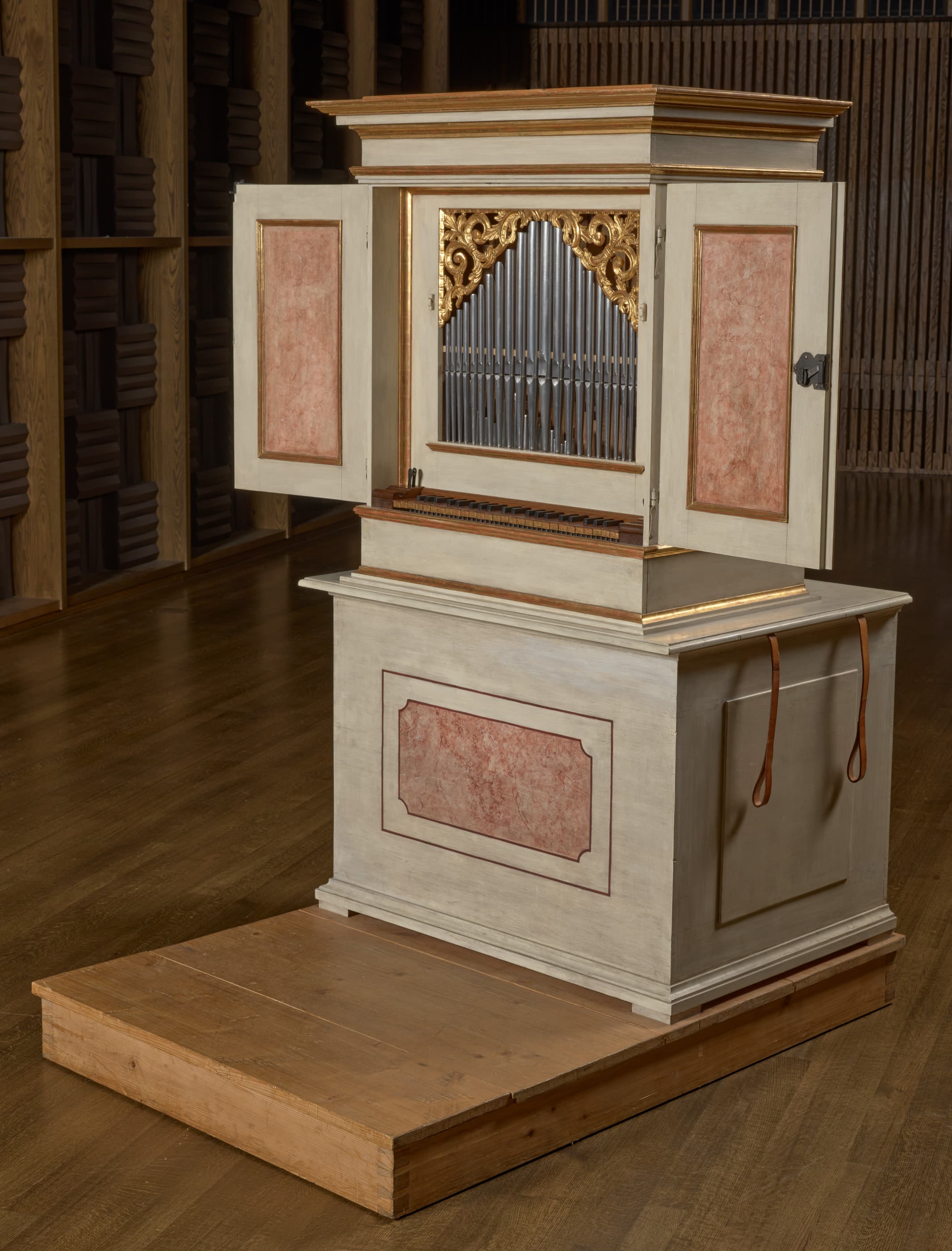 Hradetzky positive organ