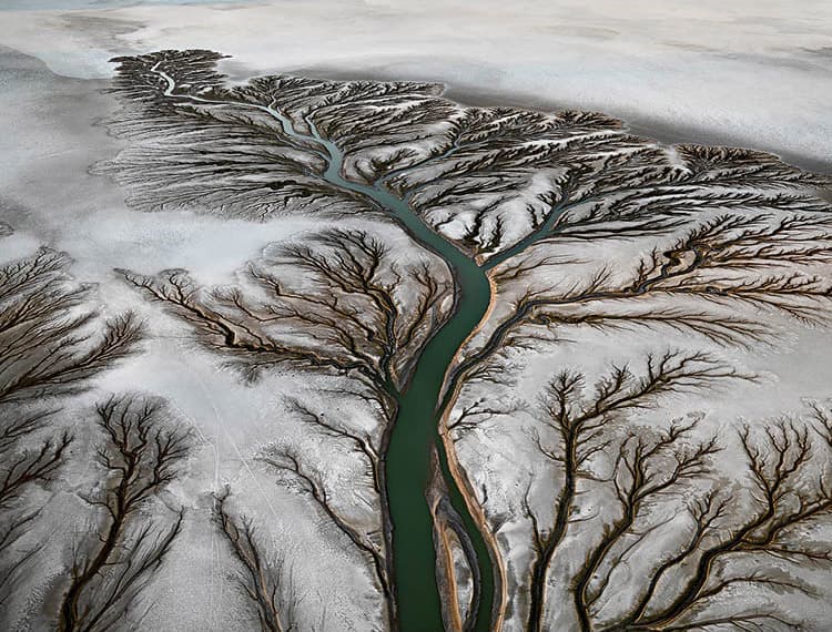 Colorado River Delta #2, Near San Felipe, Baja, Mexico 2011. Edward Burtynsky (Canadian, b. 1955). Digital chromogenic print on paper; 121.9 x 162.6 cm. New Orleans Museum of Art, Gift of the artist, 2016.46.19. © Edward Burtynsky, courtesy Weinstein-Hamm