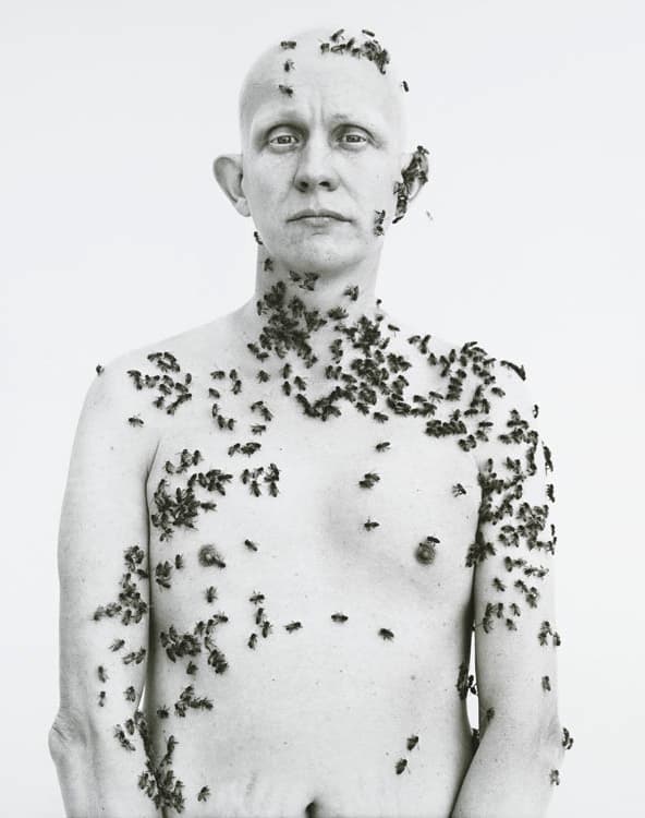 Richard Avedon (American, 1923–2004). Ronald Fischer, Beekeeper, Davis, California, May 9, 1981, 1981 (printed 1985). Gelatin silver print. Leonard C. Hanna Jr. Fund 2005.143