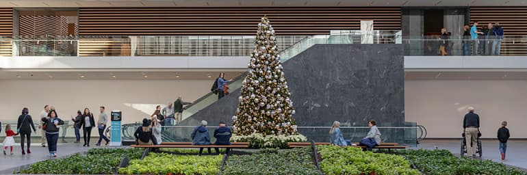 Holiday Tree in Atrium