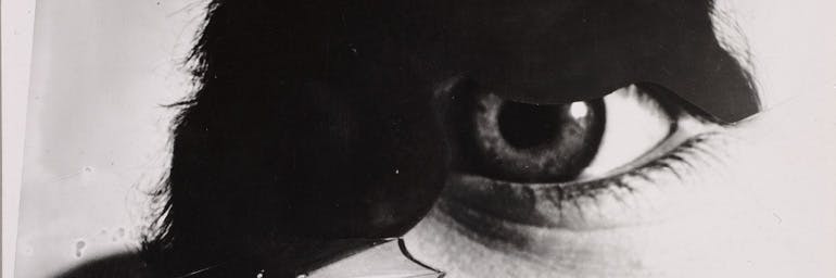 Photo Eye (Foto-Auge) (detail),1927, printed 1938–40. Anton Stankowski (German, 1906–1998). Gelatin silver print, montage, from negatives with handwork; 10.9 x 14.5 cm. The Cleveland Museum of Art, John L. Severance Fund 2007.122. © Stankowski-Stiftung